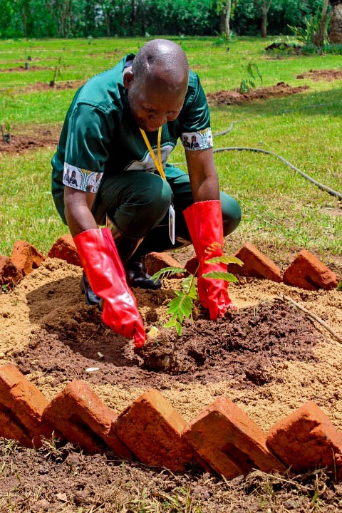 Kamuzu Academy Annual Tree Planting exercise 2025 - Image 19